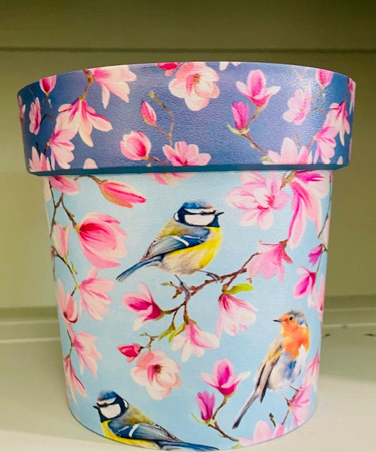 6" Recycled Material Pots