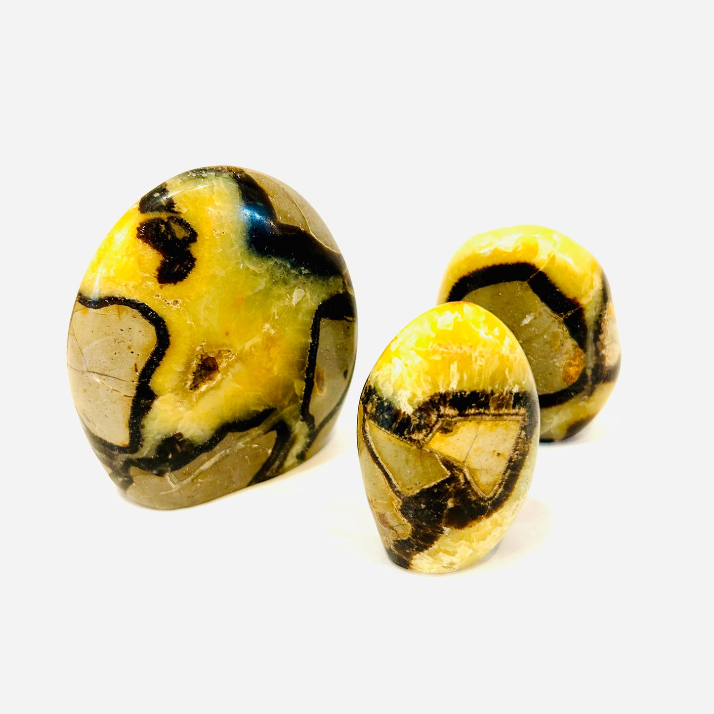 Septarian Freeform