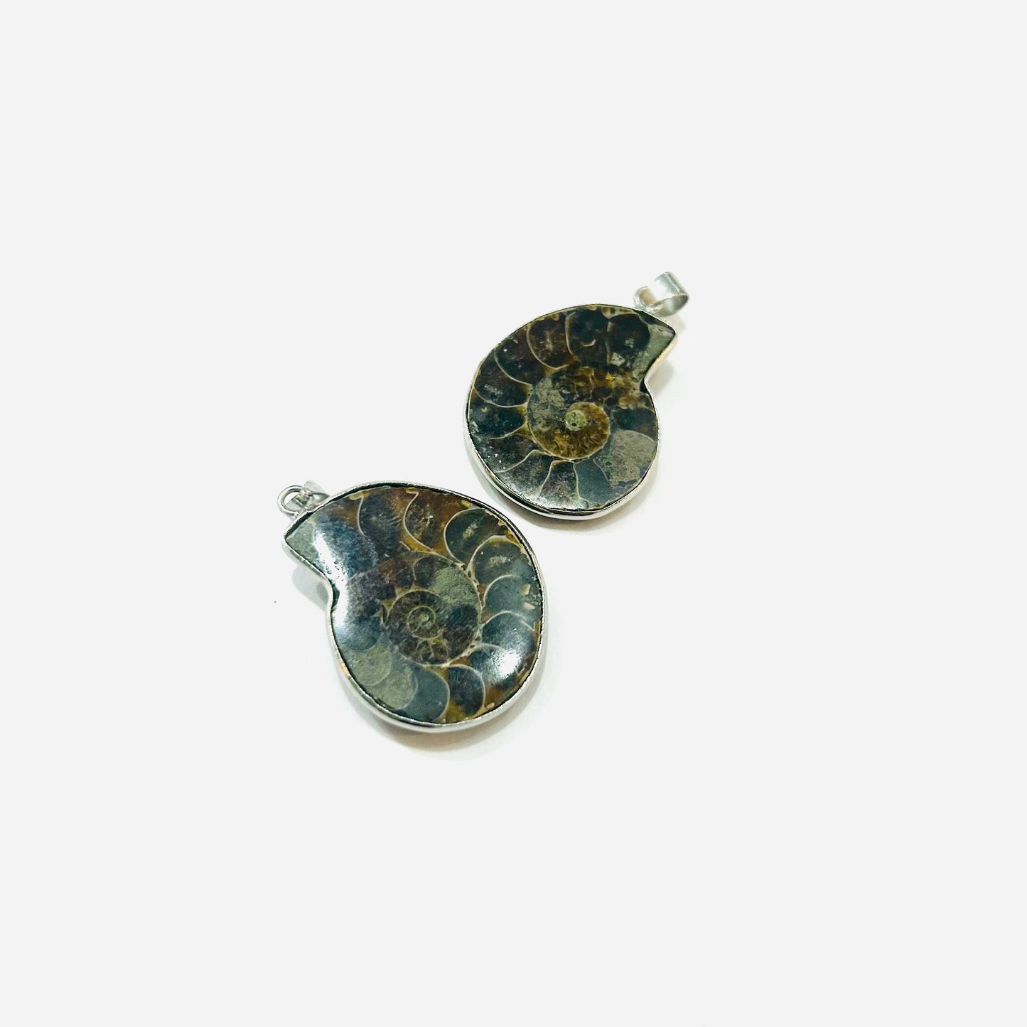 Ammonite Pendant Ancient Wisdom