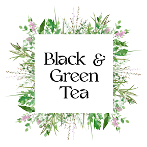 Traditional Black and Green Teas