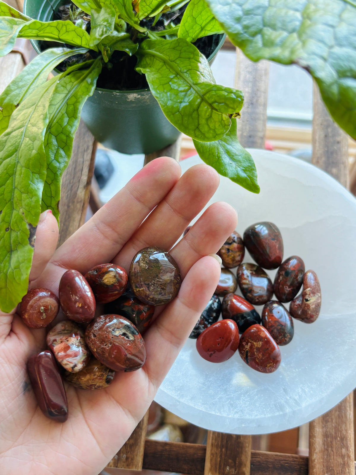 Brecciated Jasper Tumbled India