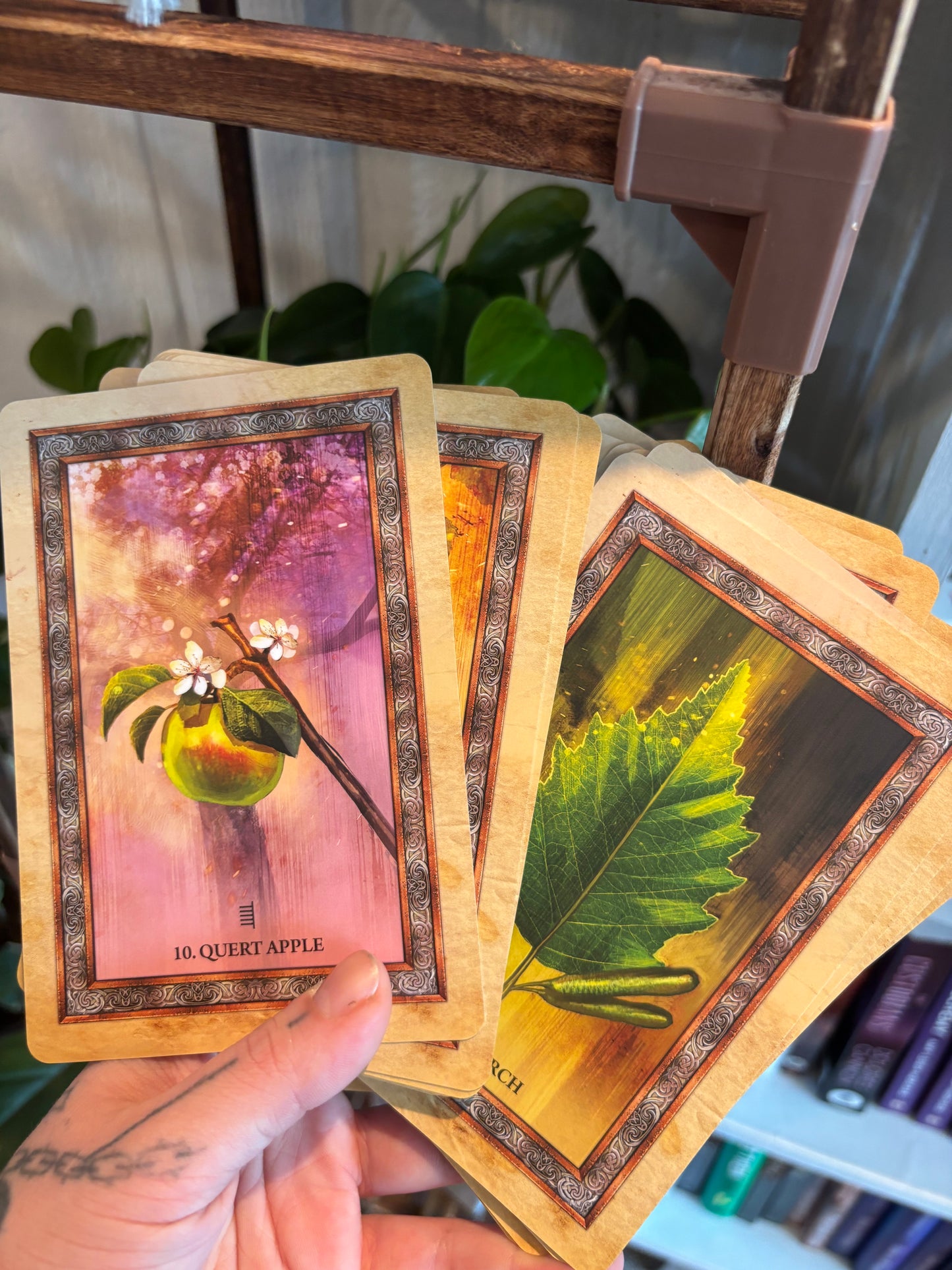 Celtic Tree Oracle
