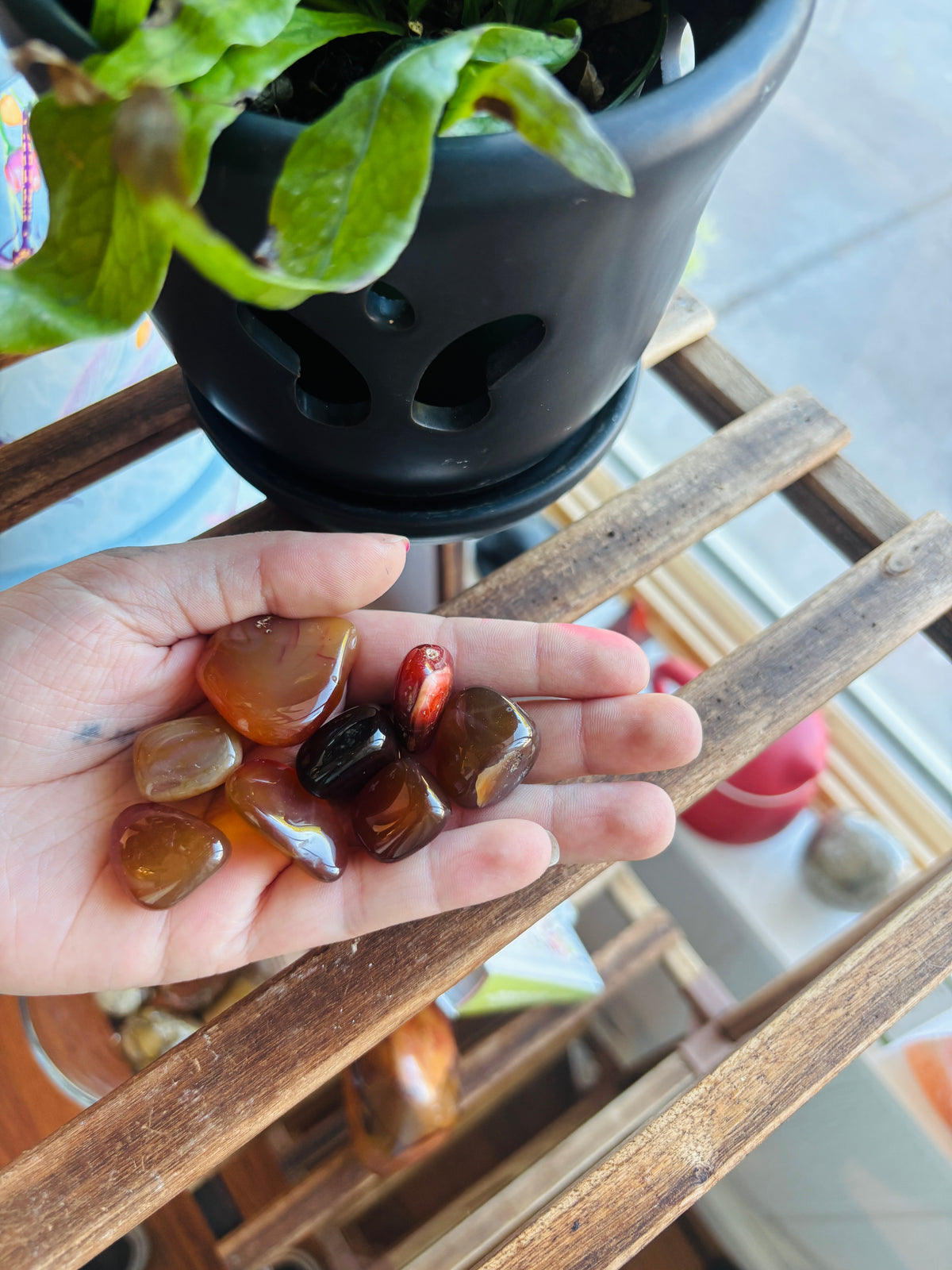 Fire Agate ~ Mexico
