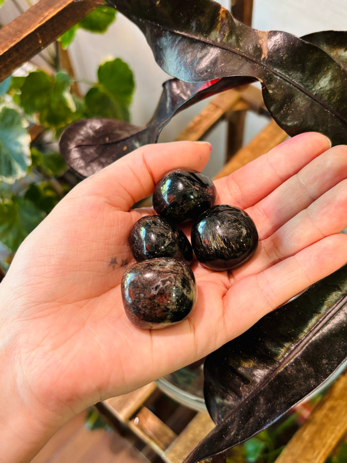 Garnet Astrophyllite