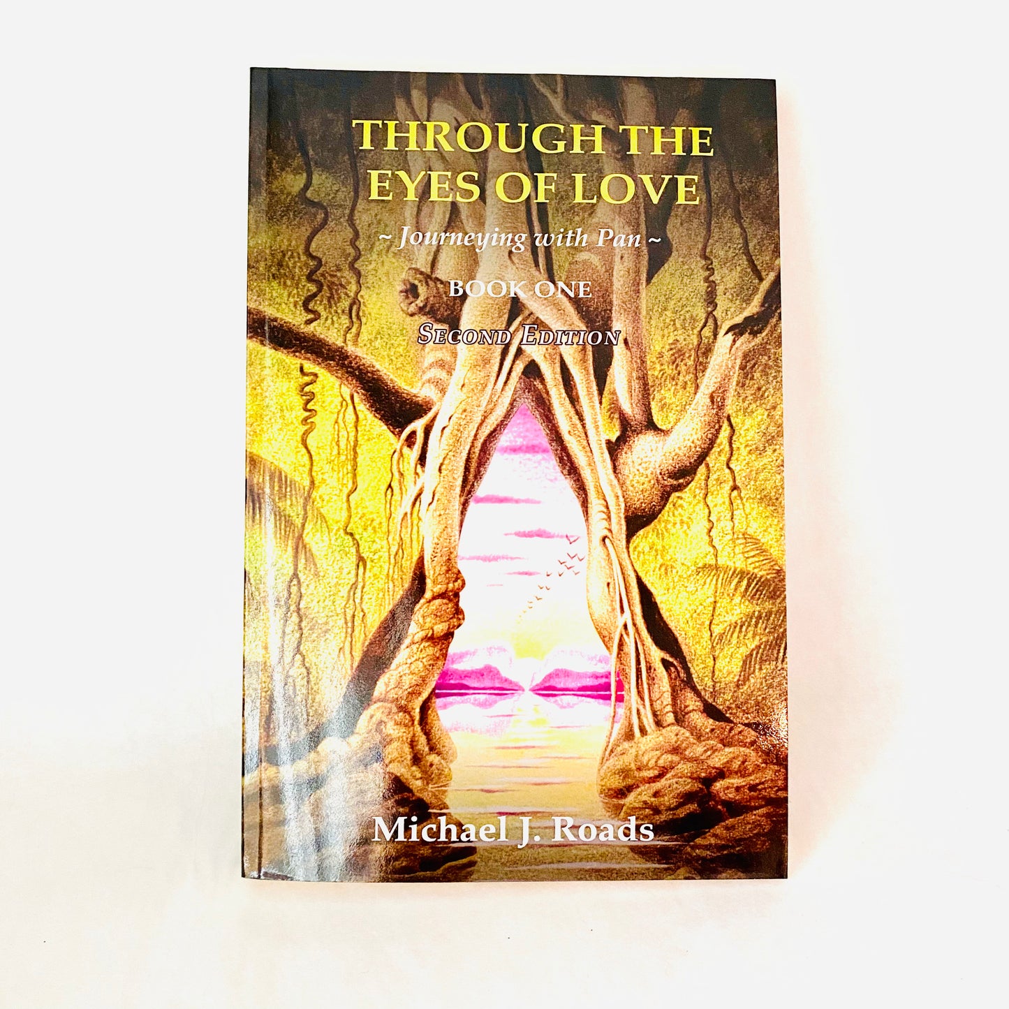Through The Eyes of Love