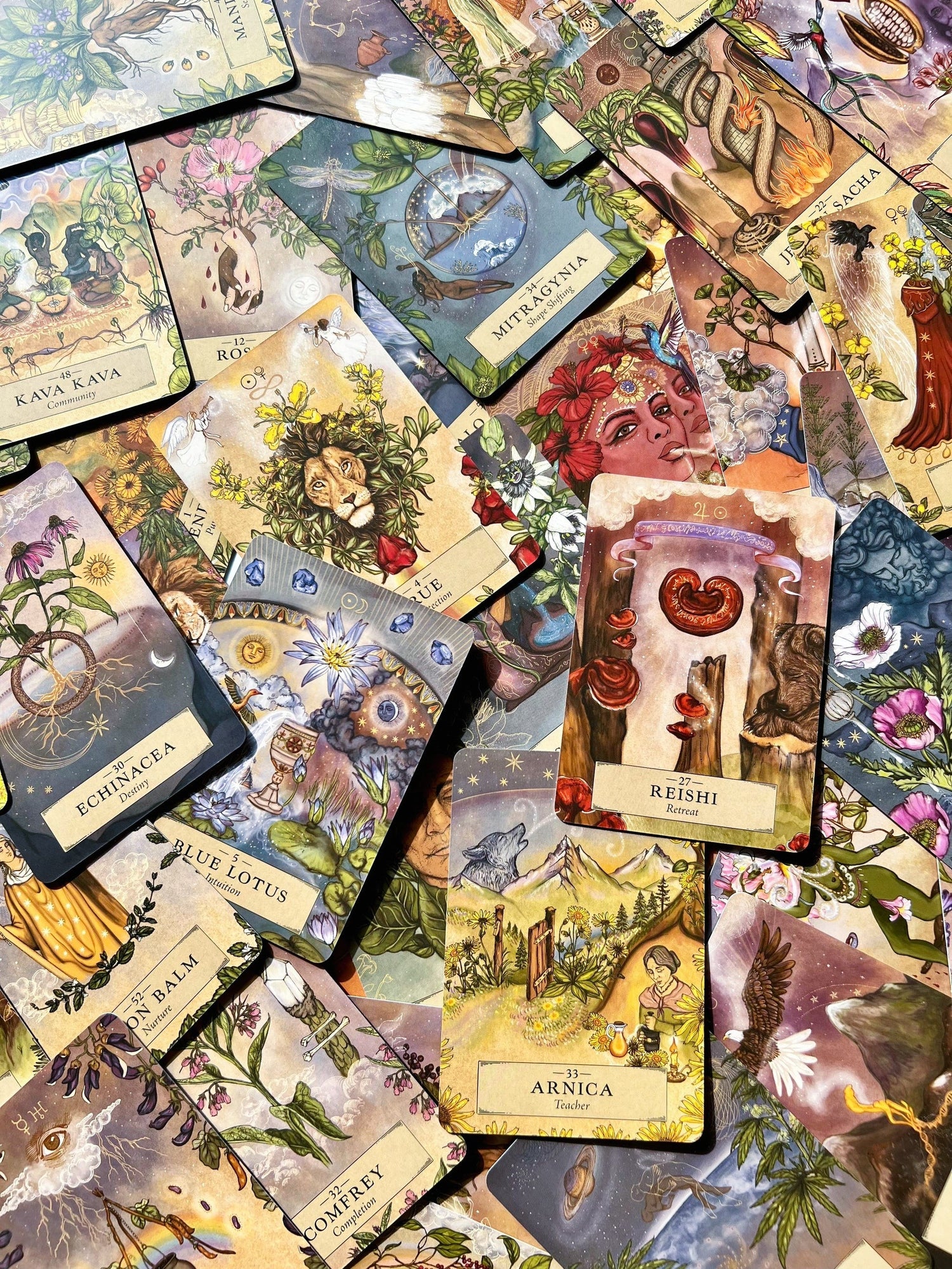 Oracle & Tarot Decks