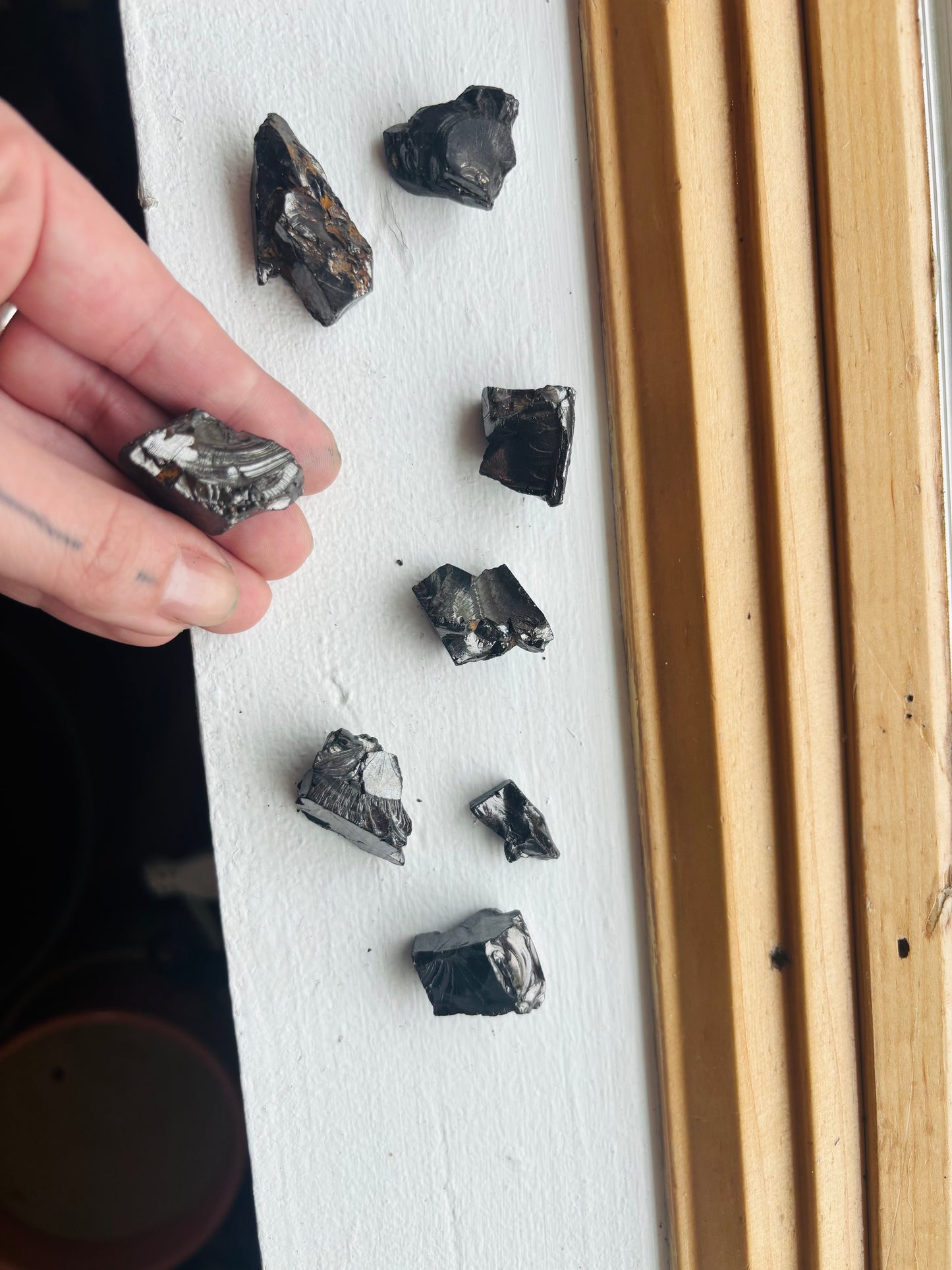 Shungite Elite
