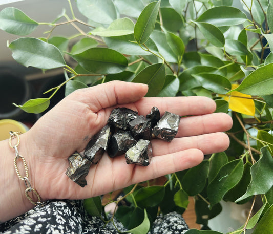 Shungite Elite