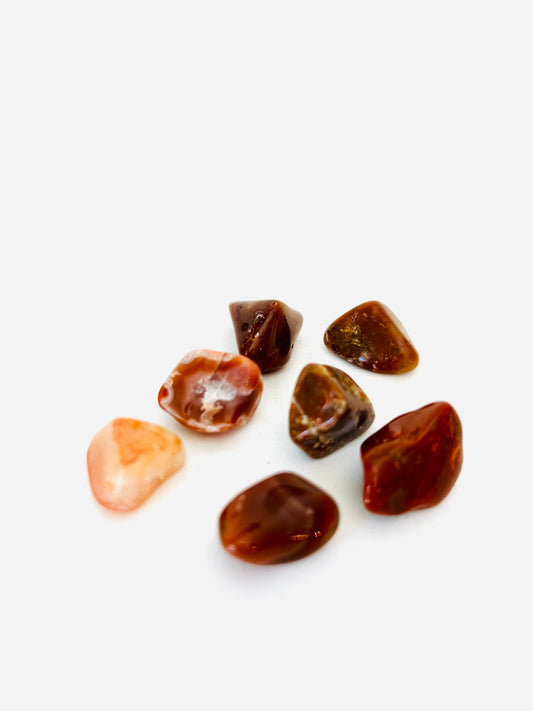 Lake Superior Agates Tumbled