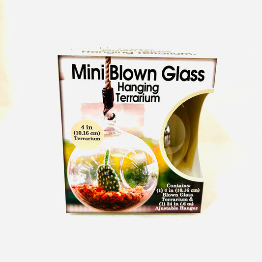 Blown Glass Terrariums