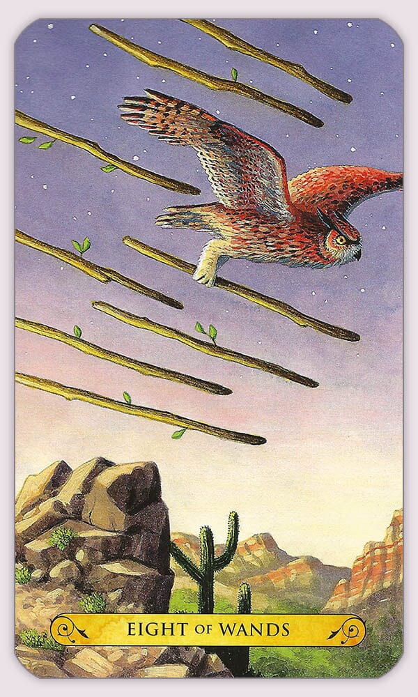 Tarot of The Owls by Pamela Chen