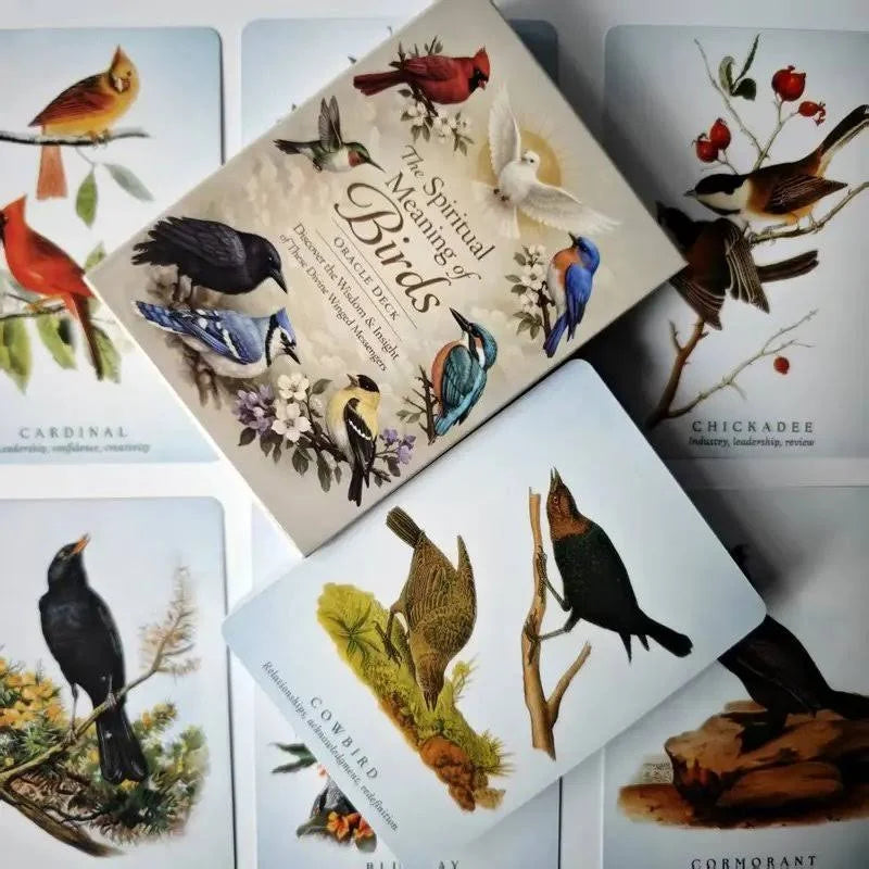 Spiritual Meaning of Birds Oracle Deck