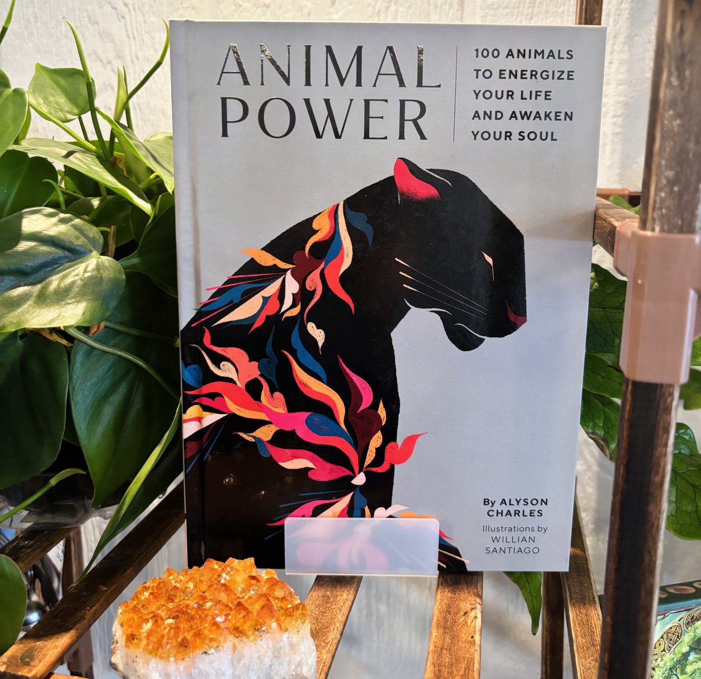 Animal Power