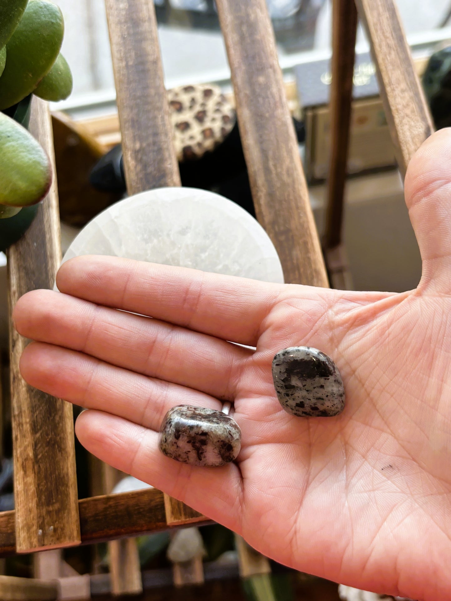 Astrophyllite Tumbled