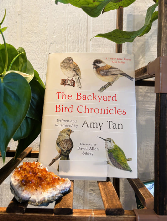 Backyard Bird Chronicles ~ Amy Tan