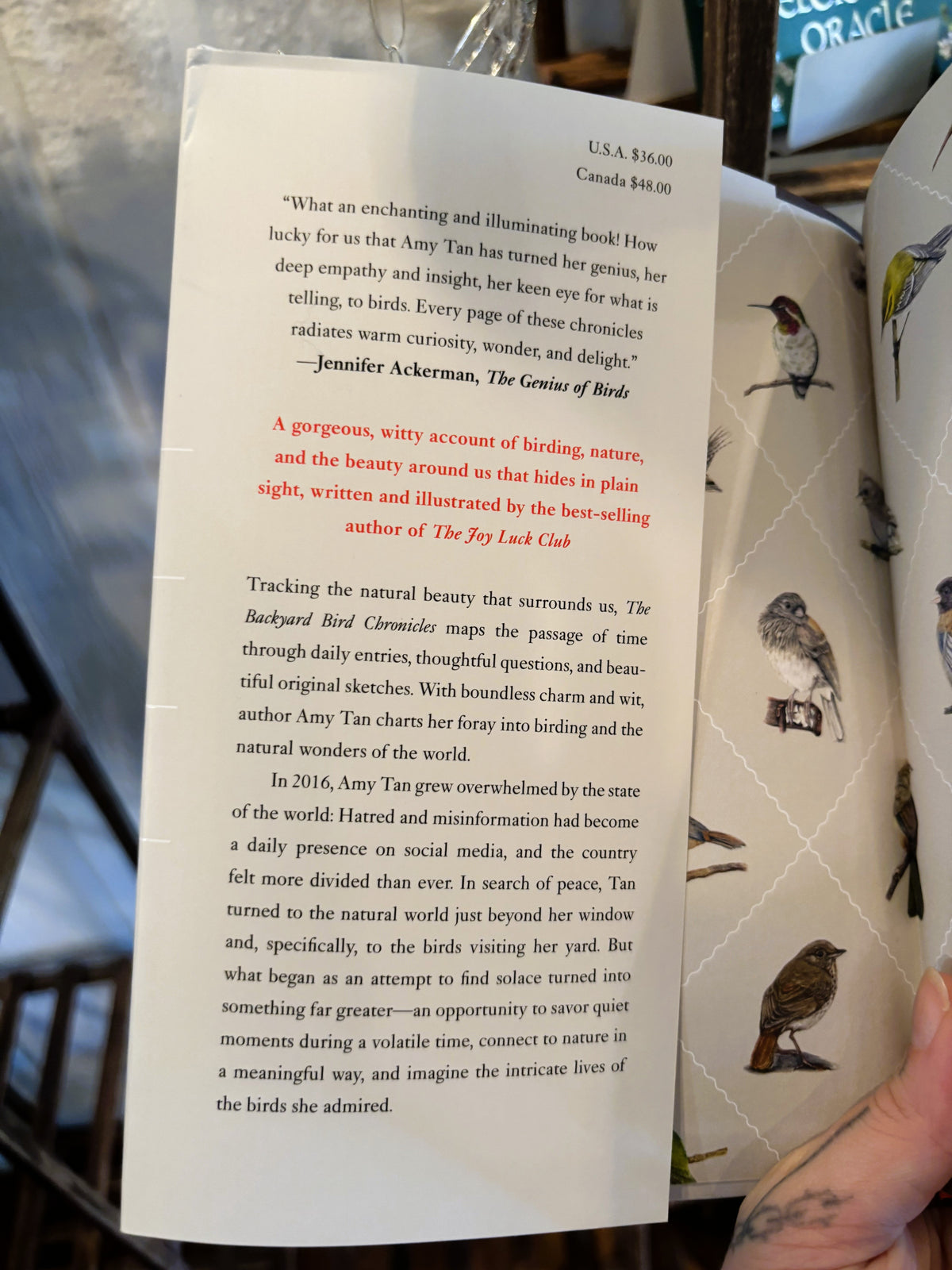 Backyard Bird Chronicles ~ Amy Tan