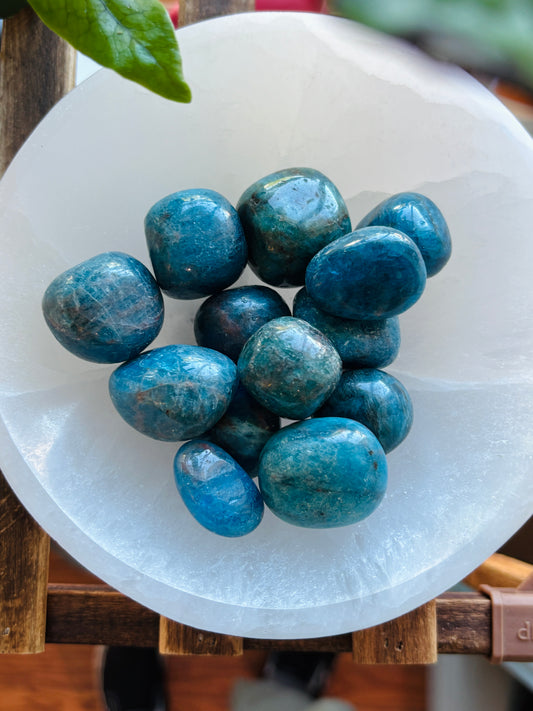 Blue Apatite Tumbled, Madagascar