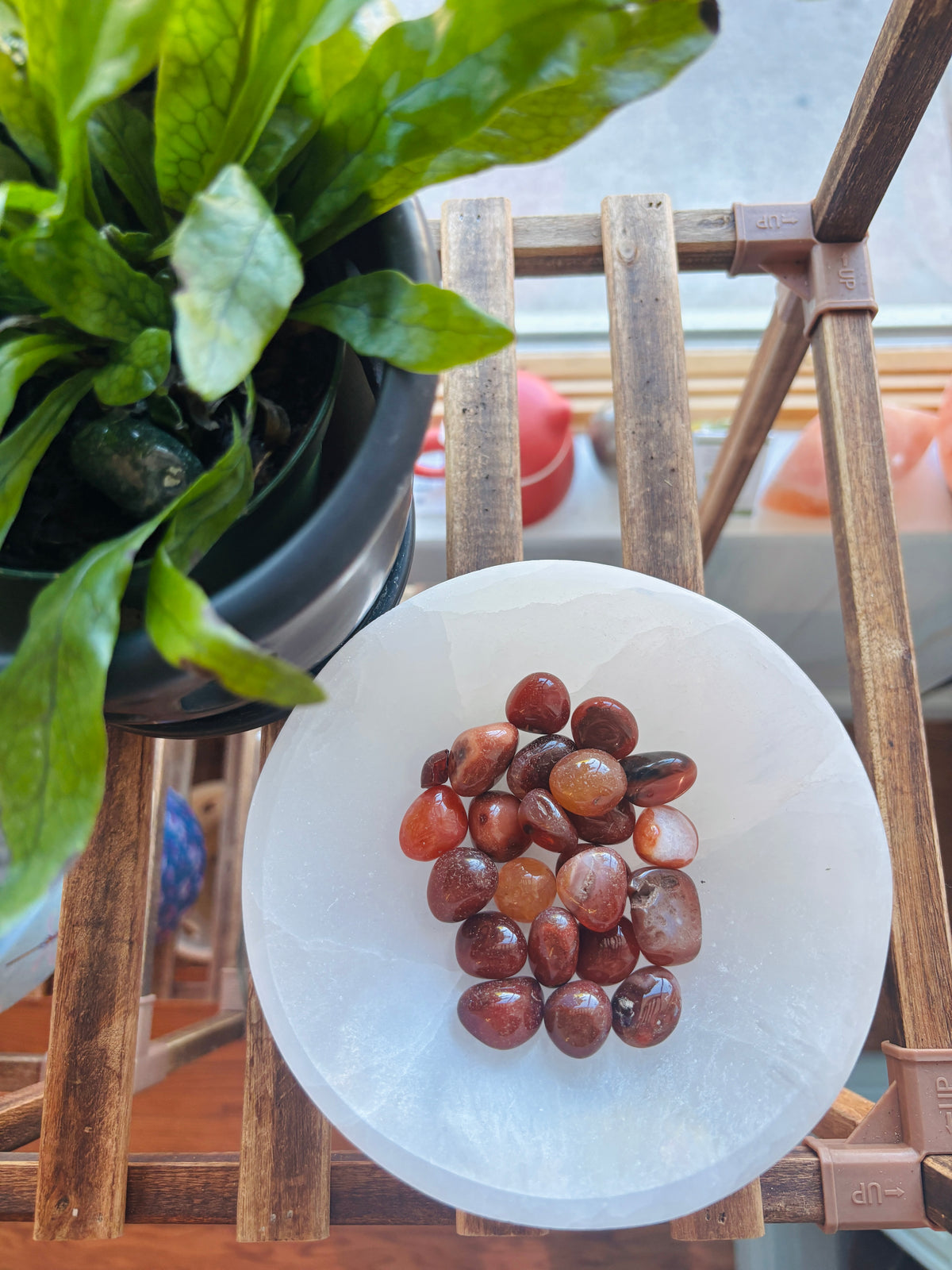 Carnelian Tumbled ~ Madagascar