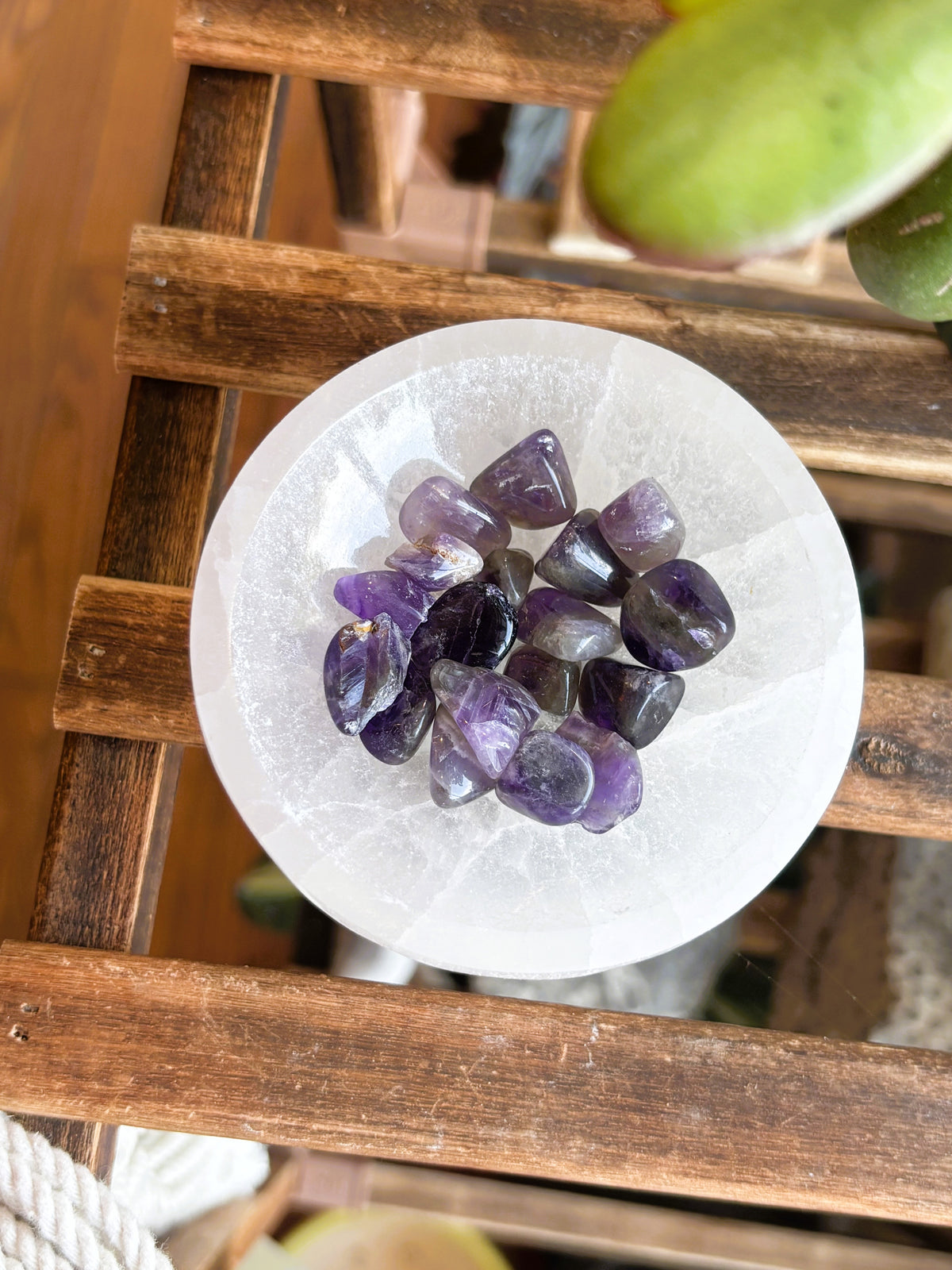 Chevron Amethyst Mini