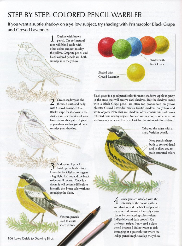 Laws Guide to Drawing Birds