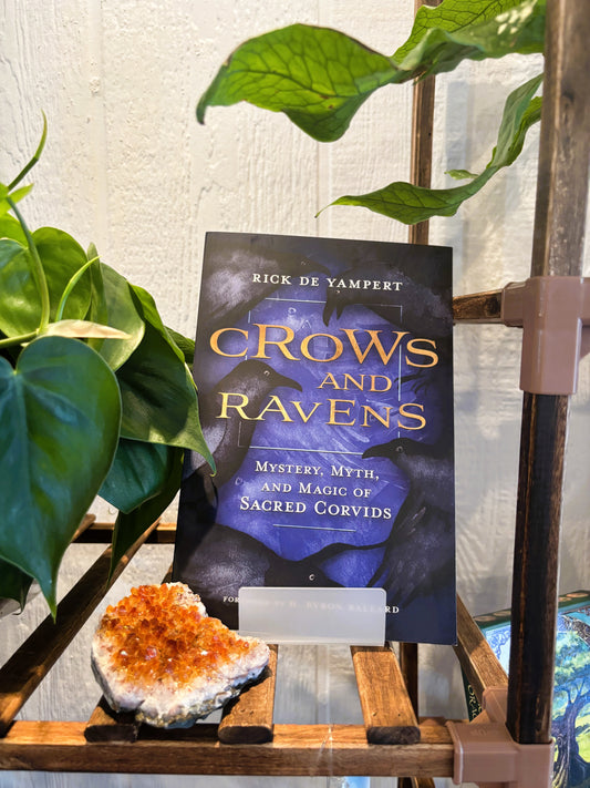 Crows and Ravens
