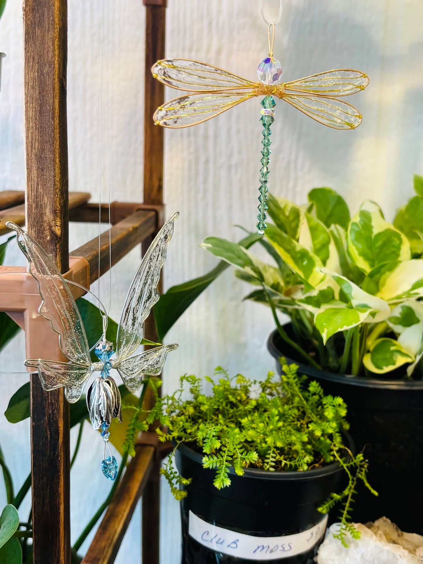 Suncatcher Dazzleflyz by Windy's Creations