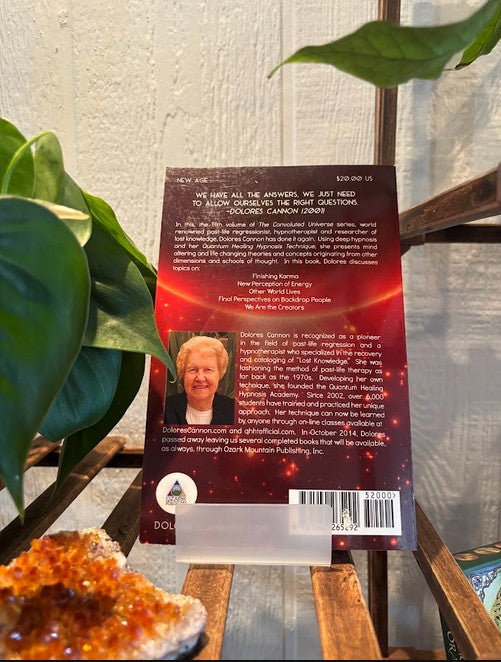 The Convoluted Universe ~ Dolores Cannon