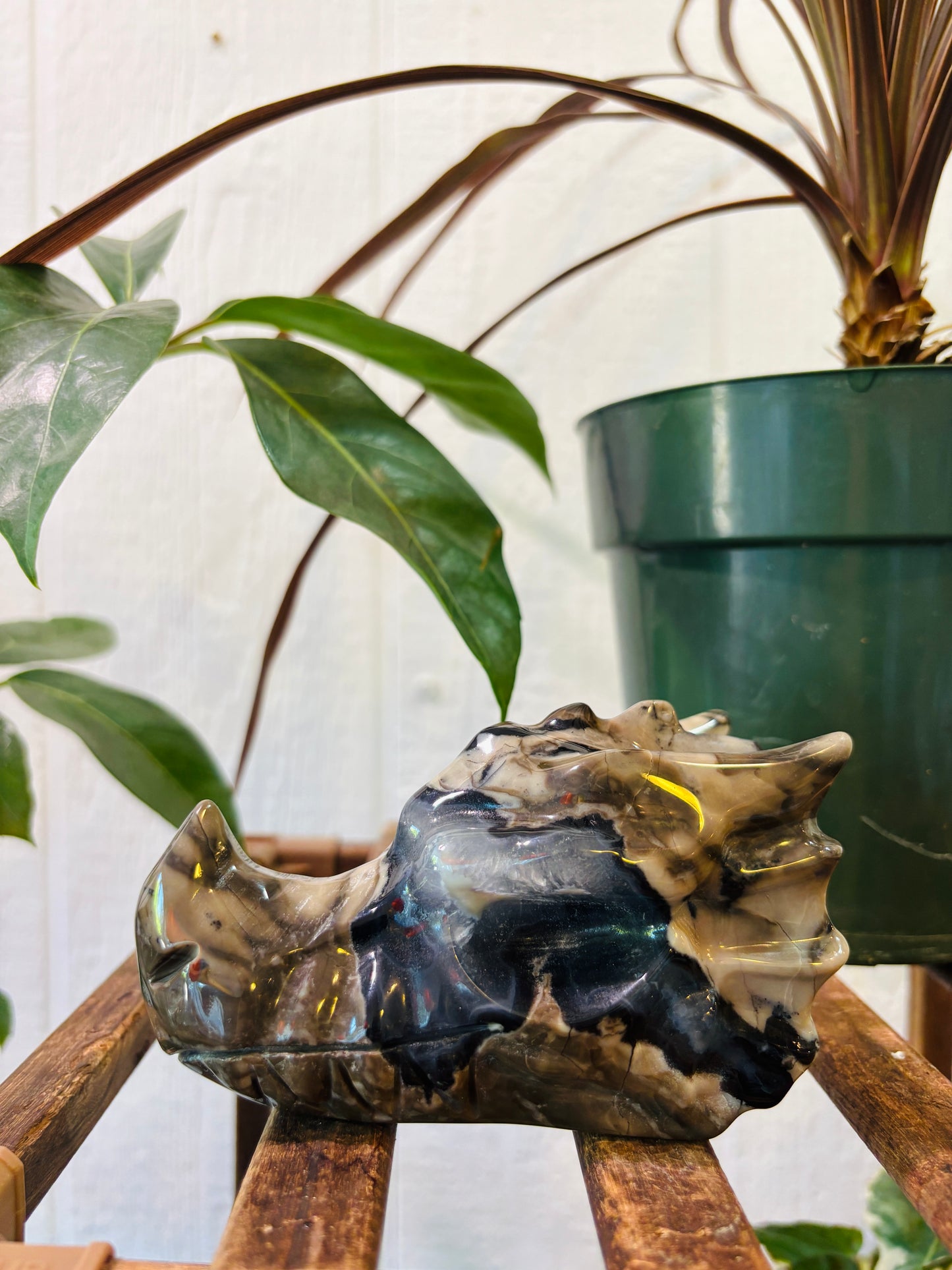 Volcano Agate Dragon Head