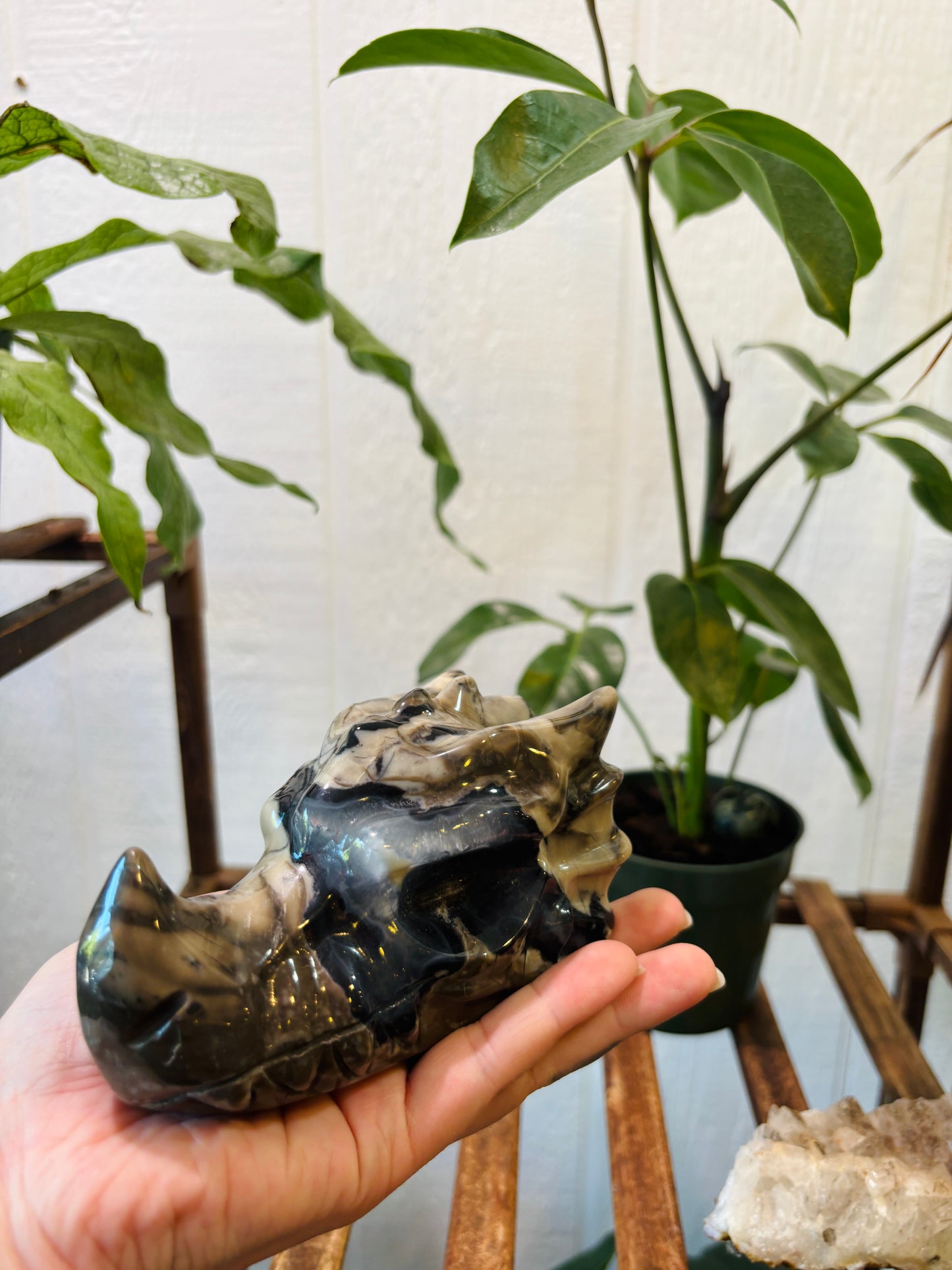 Volcano Agate Dragon Head