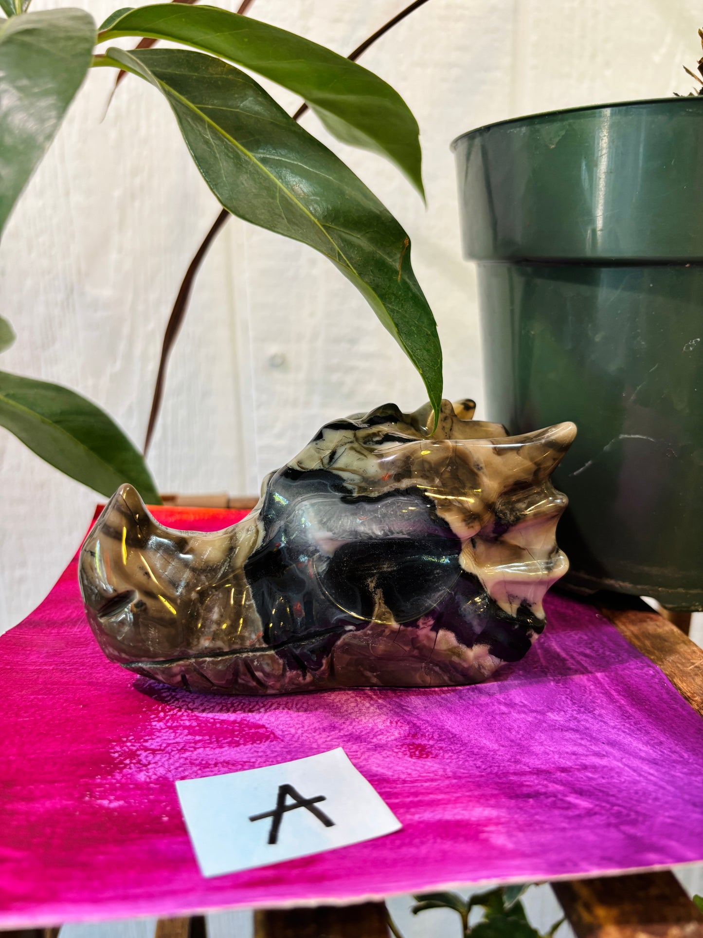 Volcano Agate Dragon Head