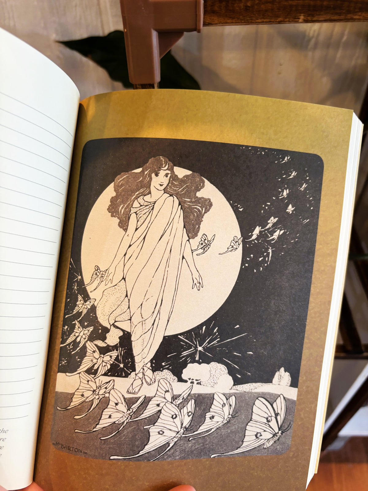 Faery Journal by Lucy Cavendish