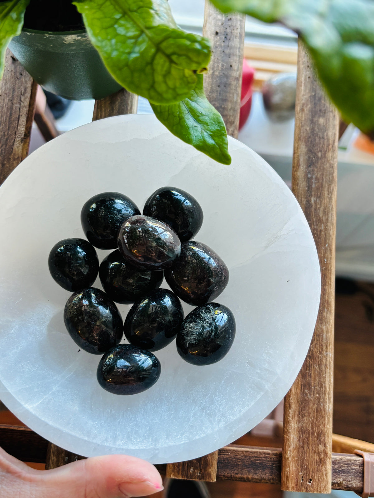 Garnet Astrophyllite