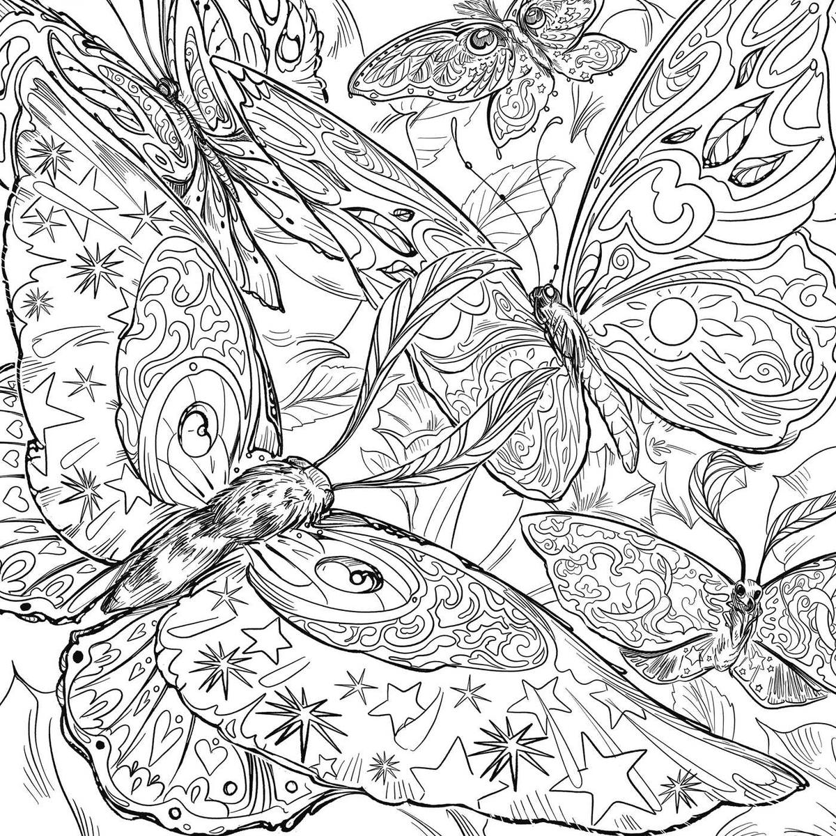 The Green Witch Coloring Book