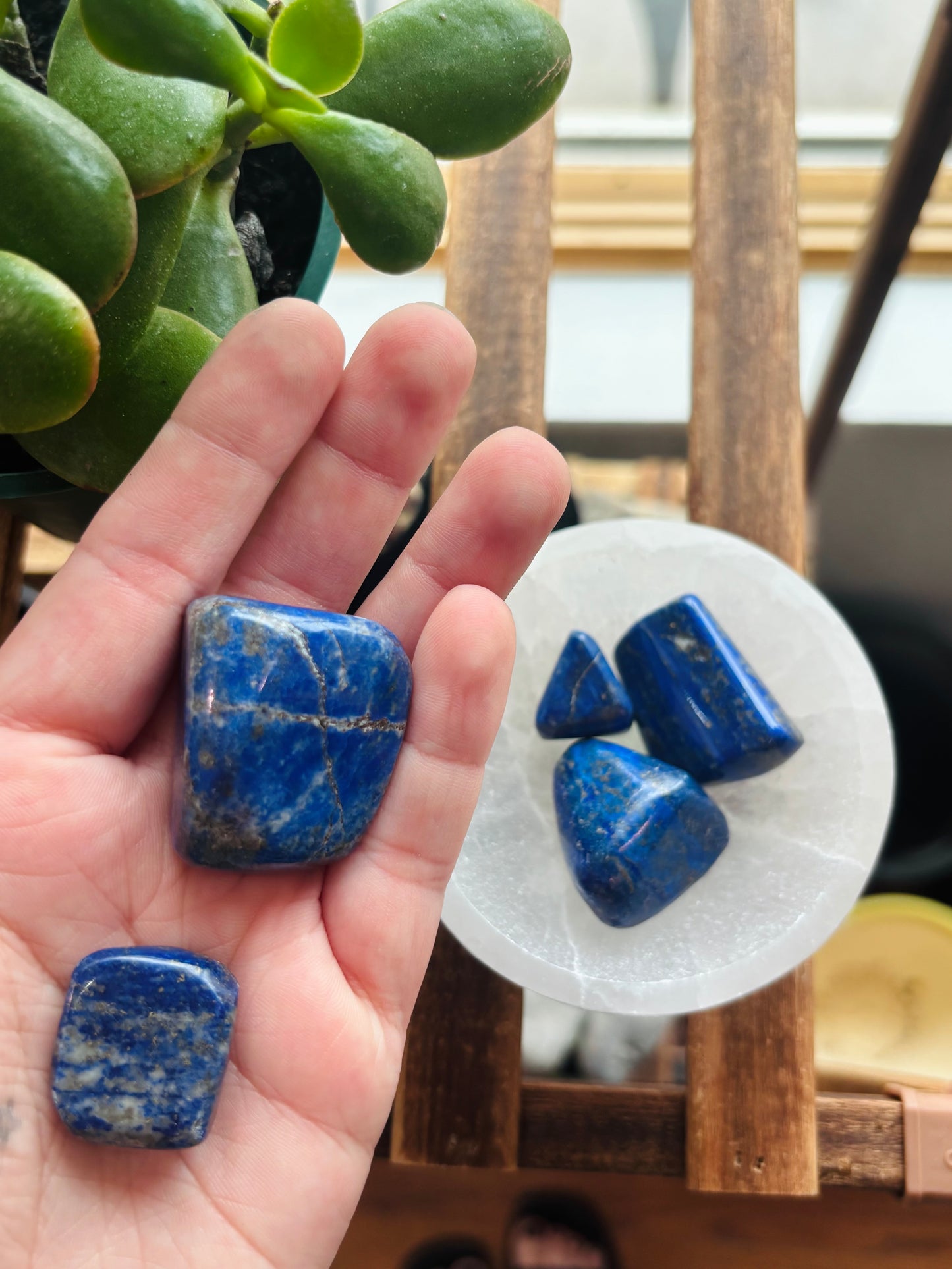Lapis Lazuli Tumbled