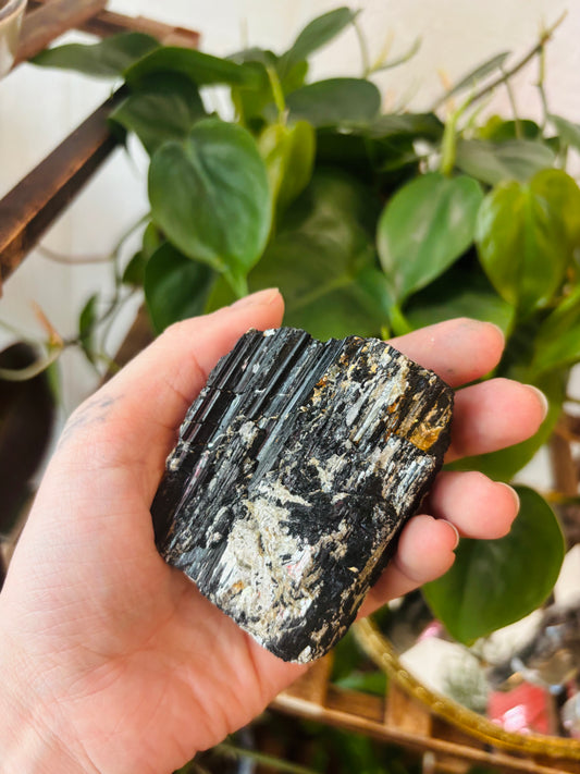 Black Tourmaline with Muscovite Mica