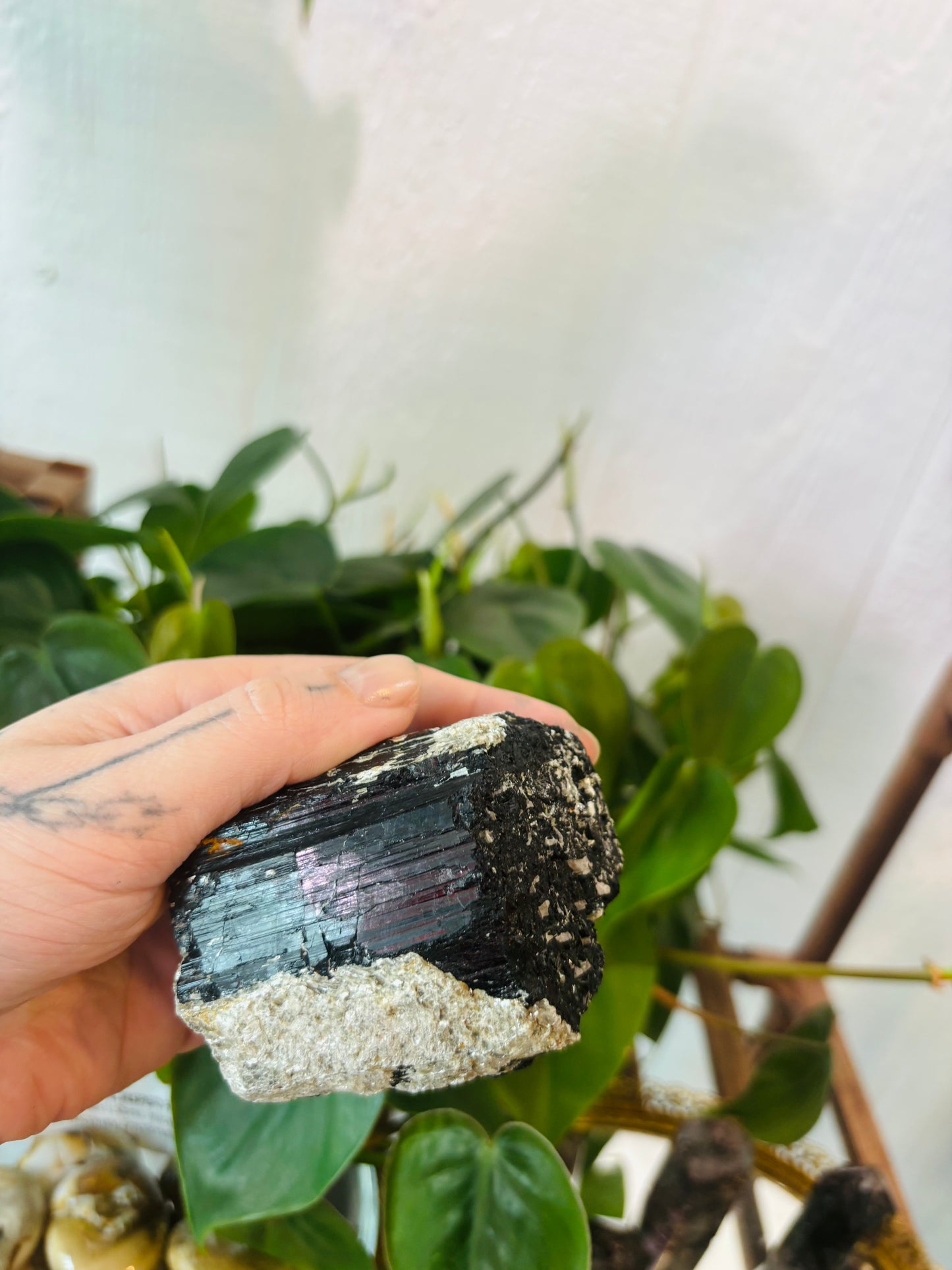 Black Tourmaline with Muscovite Mica