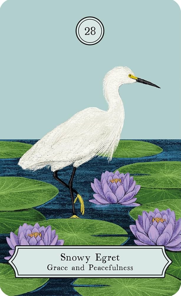 Rizzoli Wisdom of Birds Oracle