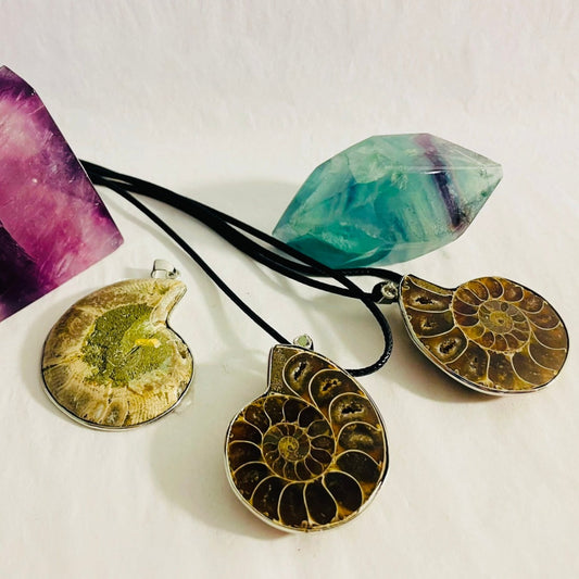 Ammonite Pendant Ancient Wisdom