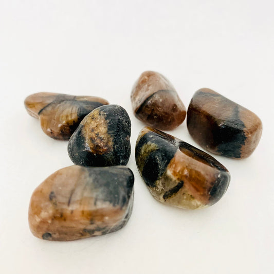 Chiastolite Tumbled