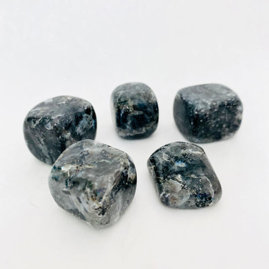 Larvikite Tumbled