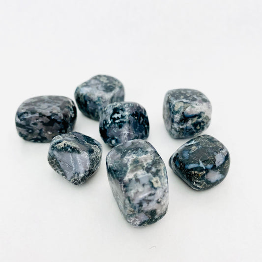 Indigo Gabbro / Merlinite Tumbled