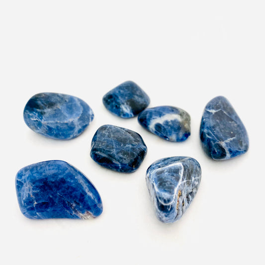 Sodalite Tumbled